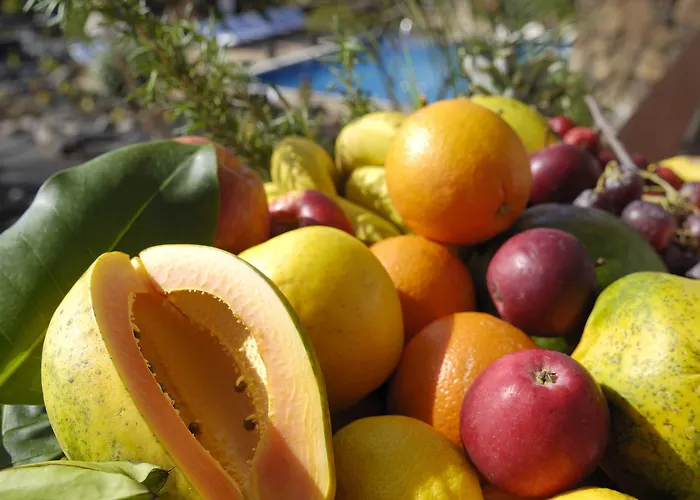 Vik - Boutique (adults Only) Hotel Arrecife (Lanzarote)